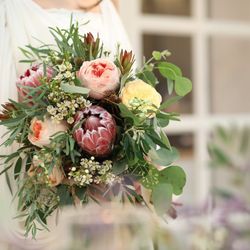 SOLA KOBEの写真33枚目