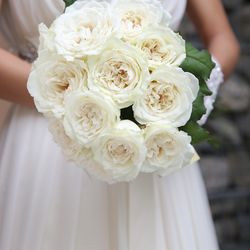 SOLA KOBEの写真19枚目