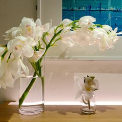 グランドニッコー東京 台場の写真6枚目