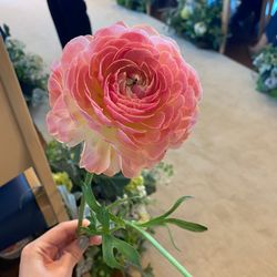 オーシャンプレイスの写真31枚目