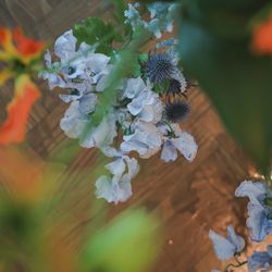 オーシャンプレイスの写真10枚目