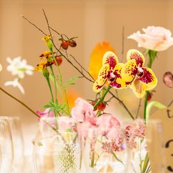 THE SORAKUEN の写真20枚目