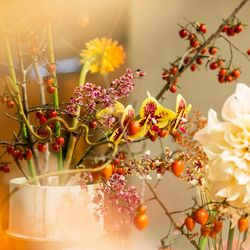 THE SORAKUEN の写真20枚目