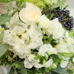 パラッツォ ドゥカーレ 麻布の写真25枚目