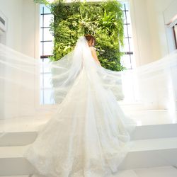 パラッツォ ドゥカーレ 麻布の写真9枚目