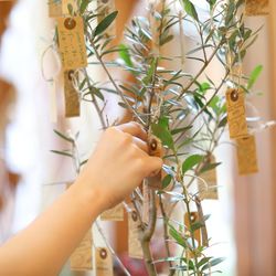 オランジュベールの写真9枚目