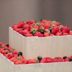 グランドニッコー東京 台場の写真26枚目