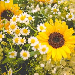 ララシャンス岡崎迎賓館の写真31枚目