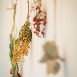 ザ ナンザンハウスの写真15枚目