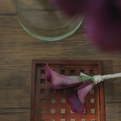 SOLA KOBEの写真25枚目