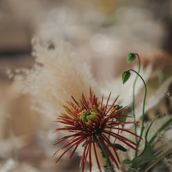 SOLA KOBEの写真35枚目