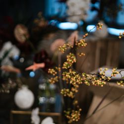 TOASTの写真12枚目