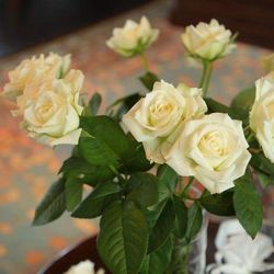 横浜迎賓館の写真3枚目