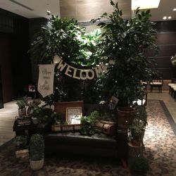 ラグナヴェール プレミア  LAGUNAVEIL PREMIERの写真35枚目