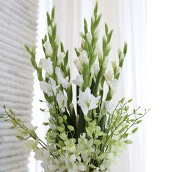 ラグナヴェール プレミア  LAGUNAVEIL PREMIERの写真28枚目