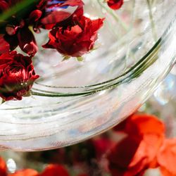 ルーキスの写真18枚目