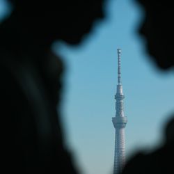 ルーキスの写真19枚目