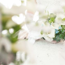 ルーキスの写真23枚目