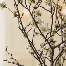 オーシャンプレイスの写真27枚目