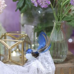 アルカンシエル ベリテ 大阪の写真26枚目