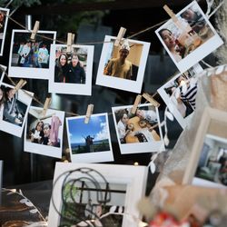 TOASTの写真16枚目