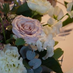 TOASTの写真13枚目