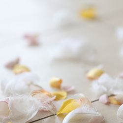 TOASTの写真27枚目