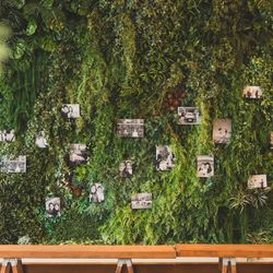 SOLA KOBEの写真16枚目