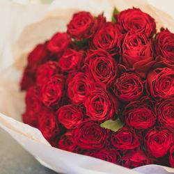 SOLA KOBEの写真11枚目