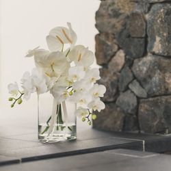 SOLA KOBEの写真6枚目