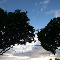 プルメリアガーデン・チャペルの写真35枚目