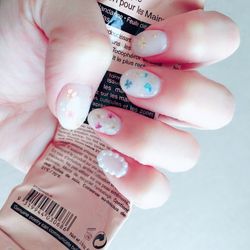 プルメリアガーデン・チャペルの写真27枚目