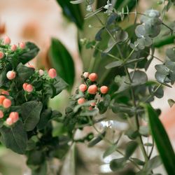 THE SORAKUEN の写真8枚目