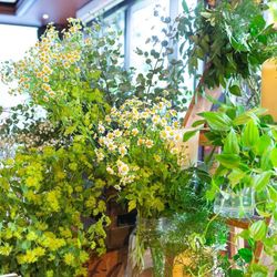 The Place of Tokyoの写真7枚目