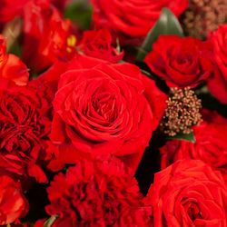 ウェスティンホテル東京の写真27枚目