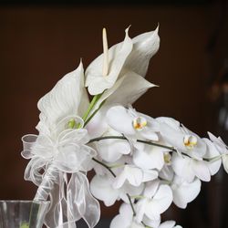 THE SORAKUEN の写真6枚目