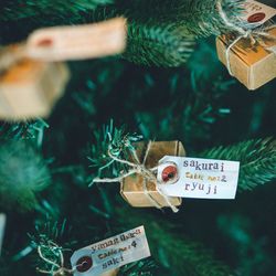 TOASTの写真30枚目