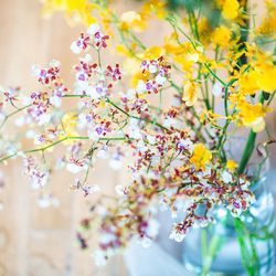 TOASTの写真20枚目