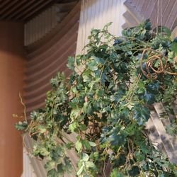 ラソールガーデン大阪の写真29枚目