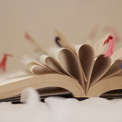 TOASTの写真9枚目