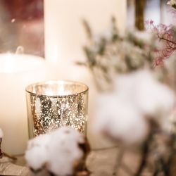 ルーキスの写真14枚目