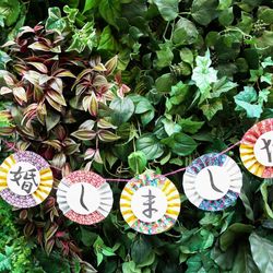 宮の森フランセス教会の写真26枚目