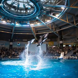 TABLE ９ TOKYOの写真4枚目