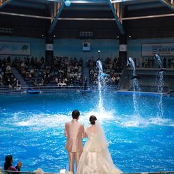 TABLE ９ TOKYOの写真10枚目