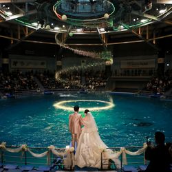 TABLE ９ TOKYOの写真3枚目