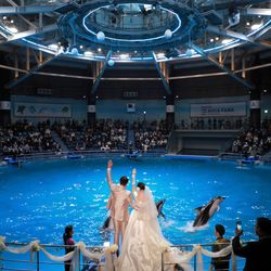 TABLE ９ TOKYOの写真24枚目