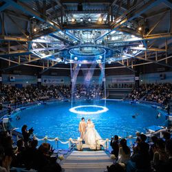 TABLE ９ TOKYOの写真8枚目