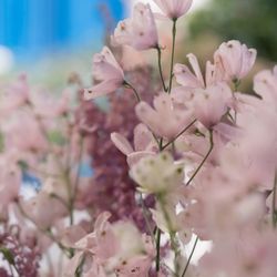 オーシャンプレイスの写真34枚目