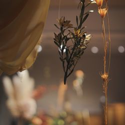 TOASTの写真1枚目