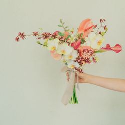 SOLA KOBEの写真24枚目